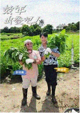 韩综在线免费观看